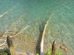 -武陵山森林公园