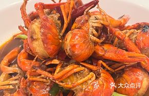 Blue Dragon Lobster