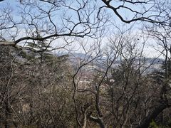 -信号山公园