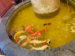 -古莲·影院足道·按摩SPA(水上温泉店)