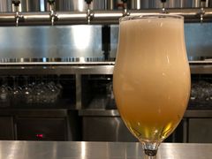 -Goose Island Brewhouse鹅岛精酿啤酒酿造工坊餐厅