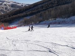 -密苑云顶乐园(云顶滑雪场)
