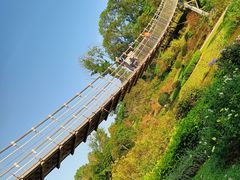 -东莞植物园