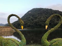 -广州市石门国家森林公园