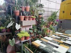-PlantsEatery·植物食堂(REX春熙店)