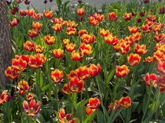 -长春公园(普阳街道)