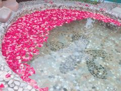 -金孔雀温泉旅游度假村