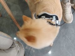 -贝利宠物医院·骨科·眼科·肿瘤转诊中心(南坪诊疗中心)