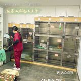 萌兔的一场健康之旅🚢｜关忠动物医院🏥