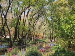 -上海共青森林公园