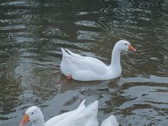 -厦门园林博览苑