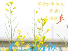 -光明小镇欢乐田园