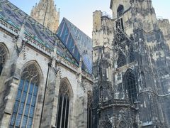 -斯蒂芬主教座堂(Stephansdom)