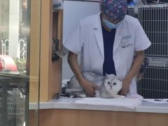 -联合动物医院(光谷诊疗中心)