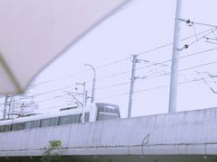 -海堤纪念公园