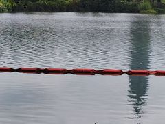 -观山湖公园