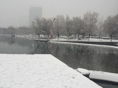 -天鹅湖体育公园