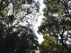 -苏州河梦清园环保主题公园