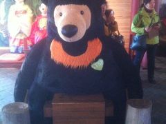 -济州岛泰迪熊博物馆