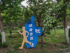 -长白岛森林公园