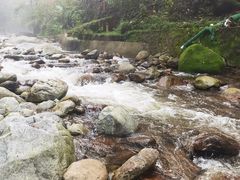 -陕西省红河谷森林公园