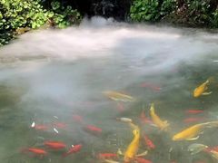 -故乡缘·香格里拉山庄(冷竹路店)