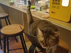 -H立方实景剧情密室(天河旗舰店)