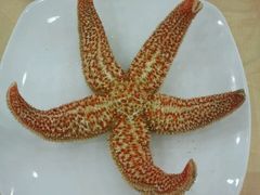 海星-海岛渔村大酒店(云霄路店)