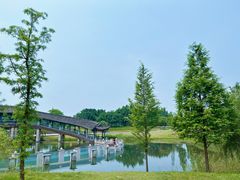 -眉山湿地公园(东坡区)