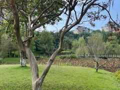 -沐仙湖湿地公园