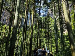 -雁荡山风景名胜区
