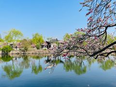 -无锡蠡湖国家湿地公园-蠡园