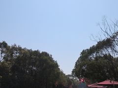 -上海海湾国家森林公园