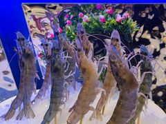 -江南福宴·澳门海鲜.牛肉火锅(汇高栢悦中心店)