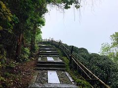 -龙井村