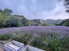 -云峰山自然风景区