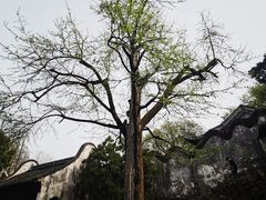 -惠山古镇·寄畅园