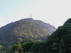 -风云岭森林公园