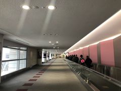 -中部国际机场