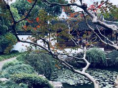 -上海醉白池公园