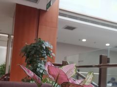 -慈铭体检(北京奥亚分院)