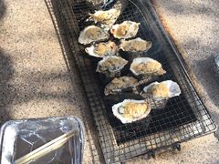 -吴淞炮台湾湿地森林公园烧烤区