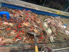 -一方渔歌蒸汽海鲜自助(文化路万达广场店)