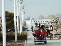 -石家庄市植物园