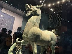 -广西壮族自治区博物馆