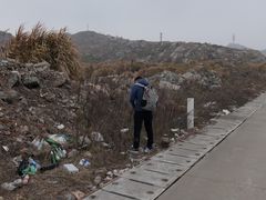 -洋山深水港