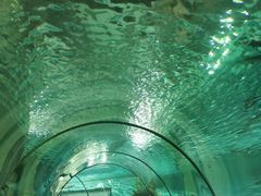 -福州罗源湾海洋世界旅游区