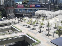 -润园四季椰子鸡火锅(南山海岸城店)