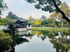 -秋霞圃