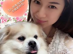 -彩虹桥宠物火化殡葬善终服务(金乐大厦店)